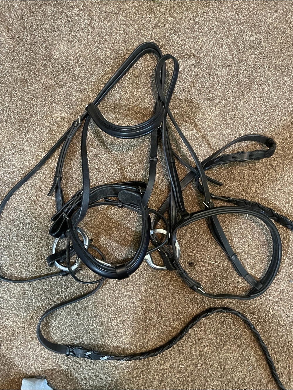 Black Leather Bridle Headstall - Classic Equestrian Style courbette dressage